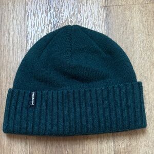 Patagonia Brodeo Beanie in Cascade Green